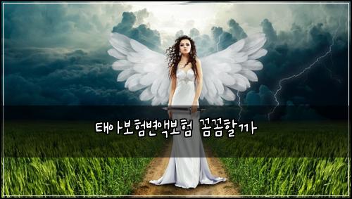 태아보험변액보험 꼼꼼할까