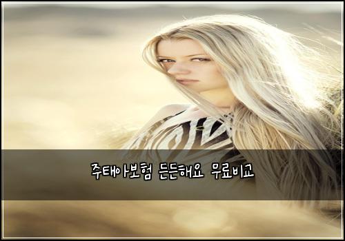 주태아보험 든든해요  무료비교