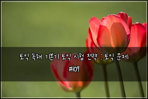토익 독해 기본기 토익 시험 전략 : 토익 문제 #109