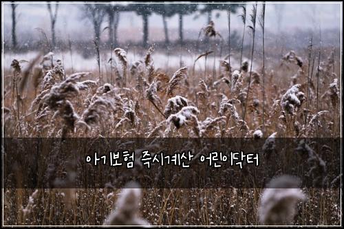 아기보험 즉시계산  어린이닥터