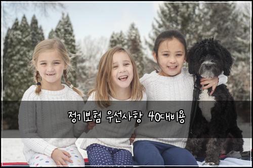 정기보험 우선사항  40대비용