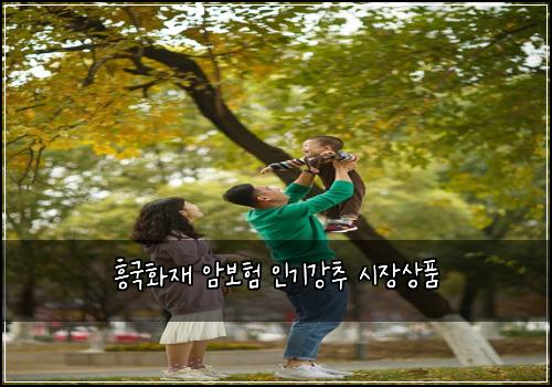 흥국화재 암보험 인기강추  시장상품