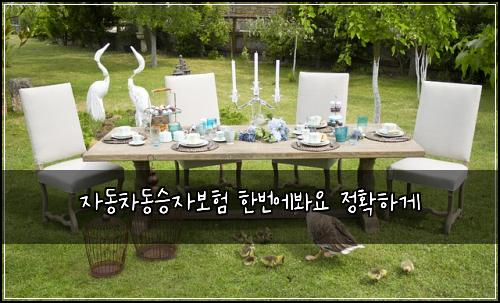 자동차동승자보험 한번에봐요  정확하게