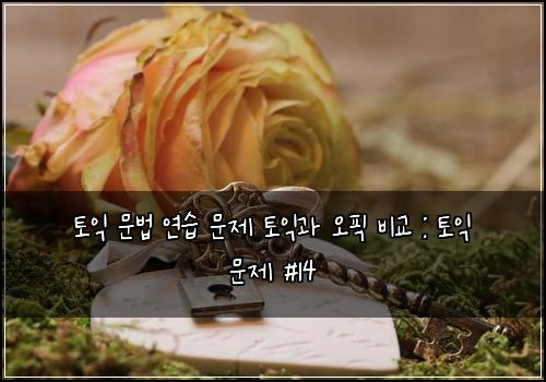 토익 문법 연습 문제 토익과 오픽 비교 : 토익 문제 #14