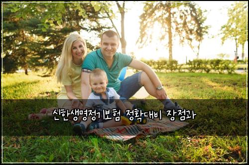 신한생명정기보험 정확대비  장점과