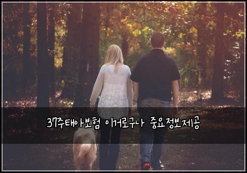 37주태아보험 이거로구나  중요정보제공