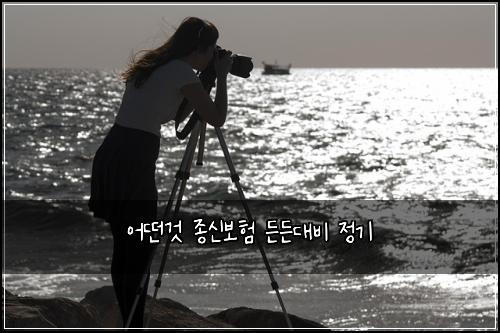 어떤것 종신보험 든든대비  정기