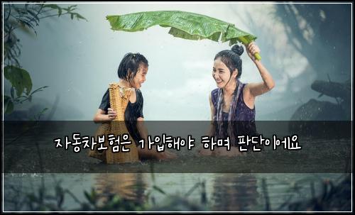 ์๋์ฐจ๋ณดํ์ ๊ฐ์
ํด์ผ ํ๋ฉฐ ํ๋จ์ด์์