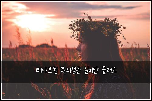 태아보험 주의점은  실비만 들려고