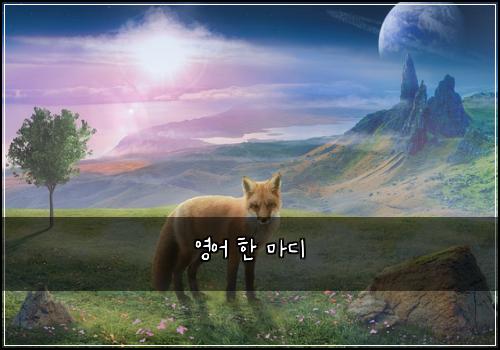 영어 한 마디