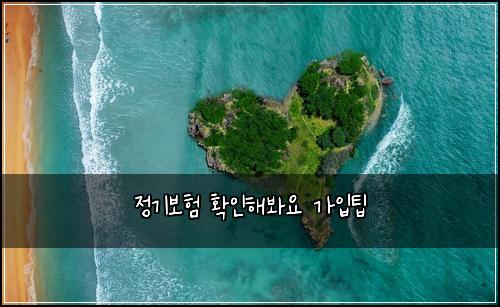 정기보험 확인해봐요  가입팁