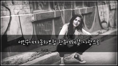μλ―Όμ°λμλ차보ν ννμν΄κ²° μ¬λμΌλ‘