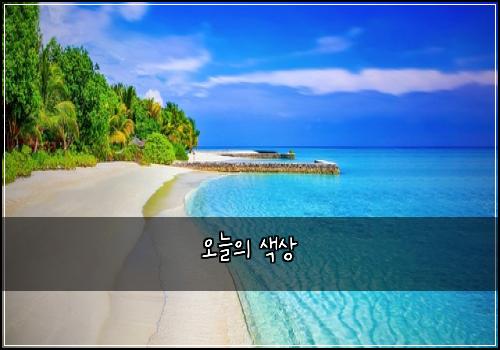오늘의 색상