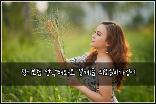 정기보험 생각해봐요  설계좀 의료실비가입여