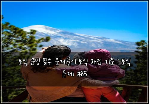 토익 문법 필수 문제풀이 토익 채점 기준 : 토익 문제 #85