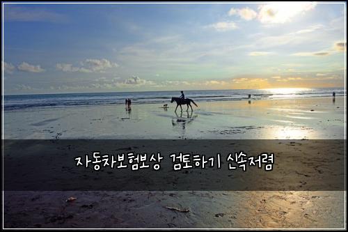 자동차보험보상 검토하기 신속저렴