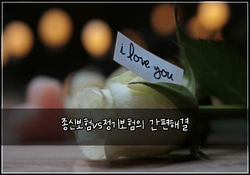 종신보험vs정기보험의 간편해결