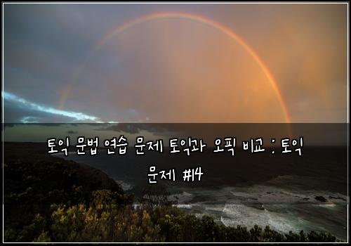 토익 문법 연습 문제 토익과 오픽 비교 : 토익 문제 #14