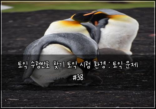 토익 수험번호 찾기 토익 시험 환경 : 토익 문제 #38