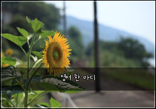 영어 한 마디