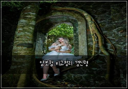 암보험 비교정리  갱신형 