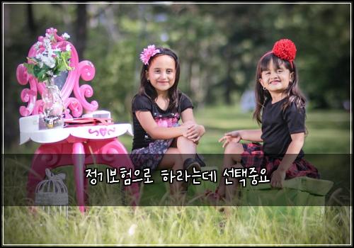 정기보험으로 하라는데 선택중요