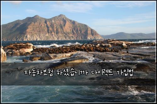 자동차보험 하셨습니까  다이렉트 가입법