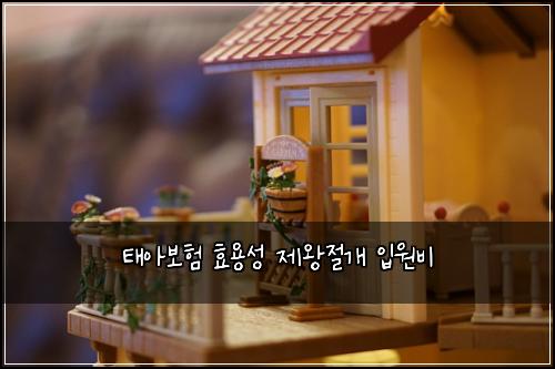태아보험 효용성  제왕절개 입원비 