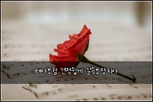 태아보험 견적쉽게  실속보장치아