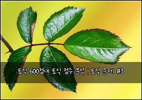 토익 600점대 토익 점수 분석 : 토익 문제 #3