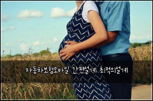 ์๋์ฐจ๋ณดํ๋ชจ๋ฐ์ผ ๊ฐํธ์ค๊ณ ์ต์ ์์ค๊ณ