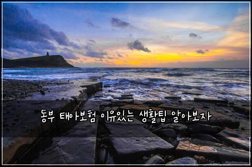 동부 태아보험 이유있는  생활팁 알아보자