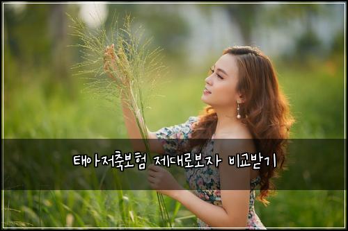 ํ์์ ์ถ๋ณดํ ์ ๋๋ก๋ณด์ ๋น๊ต๋ฐ๊ธฐ