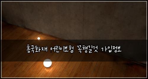 흥국화재 어린이보험 꼭챙길것  가입정보