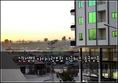 신한생명 아이사랑보험 지금체크  흥국쌍용