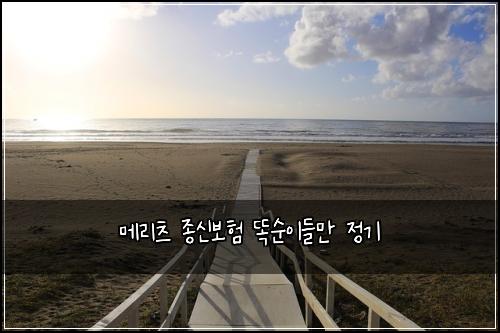 ๋ฉ๋ฆฌ์ธ ์ข
์ ๋ณดํ ๋์์ด๋ค๋ง ์ ๊ธฐ