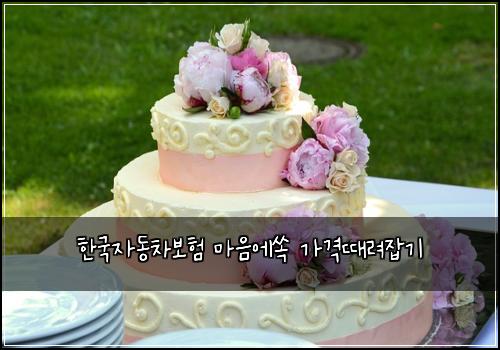 한국자동차보험 마음에쏙  가격때려잡기
