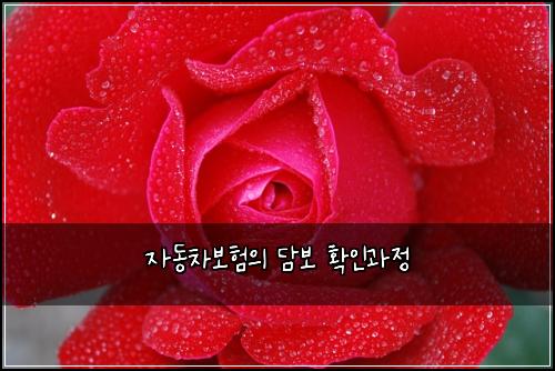 ์๋์ฐจ๋ณดํ์ ๋ด๋ณด ํ์ธ๊ณผ์ 