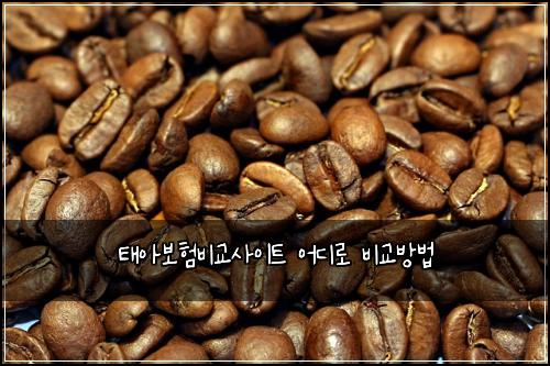 태아보험비교사이트 어디로 비교방법