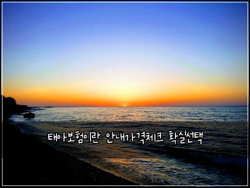 ํ์๋ณดํ์ด๋ ์๋ด๊ฐ๊ฒฉ์ฒดํฌ ํ์ค์ ํ