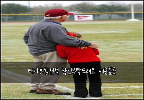 태아보험견적 확인부탁드려요 내용볼곳