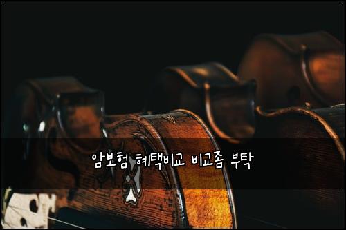 암보험 혜택비교  비교좀 부탁