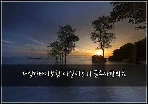 저렴한태아보험 다알아보기  필수사항봐요