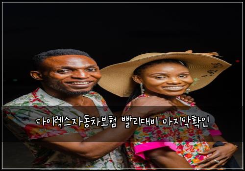 다이렉스자동차보험 빨리대비  마지막확인