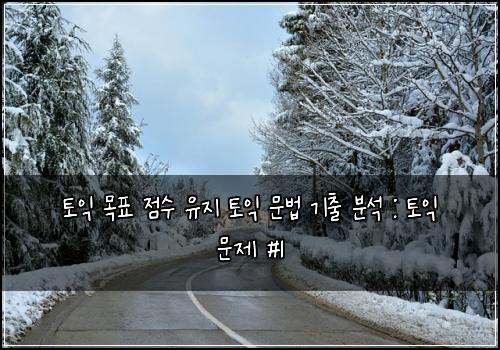 토익 목표 점수 유지 토익 문법 기출 분석 : 토익 문제 #1