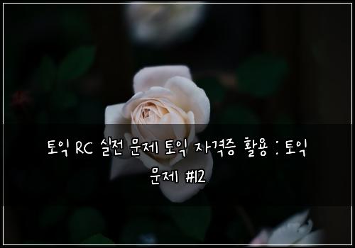 토익 RC 실전 문제 토익 자격증 활용 : 토익 문제 #12