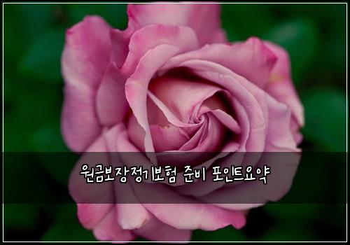 원금보장정기보험 준비  포인트요약
