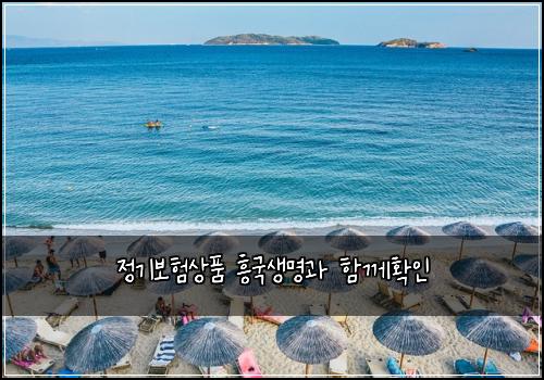 정기보험상품 흥국생명과 함께확인