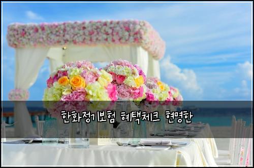 한화정기보험 혜택체크  현명한