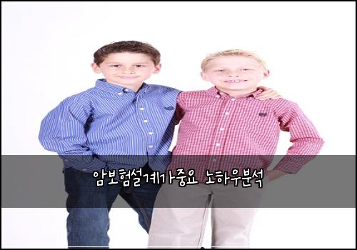 암보험설계가중요 노하우분석